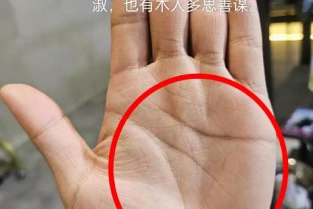 罕见的掌纹手相算命和图解