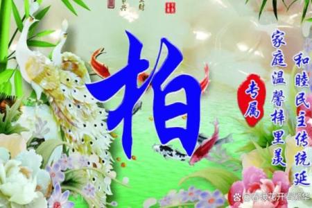 柏姓女孩名字大全-柏姓女孩起名字大全-柏姓名字大全姓名