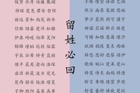2019年6月19号卯时出生的男孩如何起名姓名