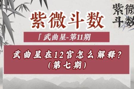 紫微斗数之兄弟宫与诸星,武曲星在兄弟宫是什么意思？