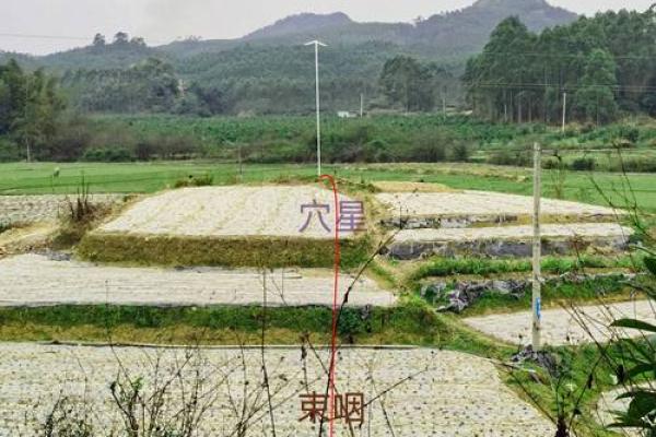 下山凤形风水如何在家中营造良好的风水环境