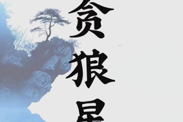 紫薇斗数贪狼在命宫