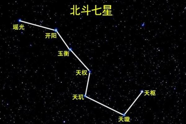 紫薇斗数贪狼在命宫