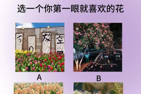 20道性格测试题,性格测试30题
