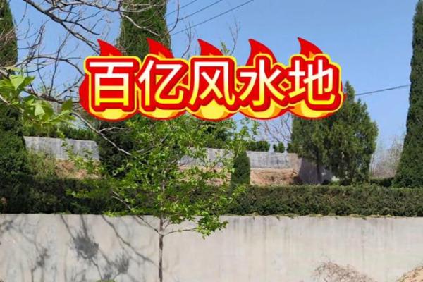 风水大地_风水宝地的意思