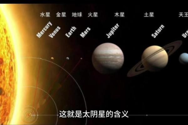 紫薇斗数太阴座是什么