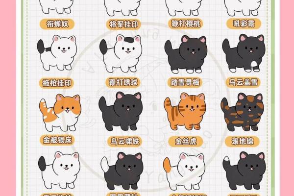 用星座给小猫起名子