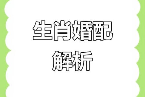 属蛇男婚姻最好的婚配属相 属蛇男与什么属相配对最佳