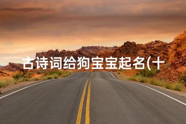 下午三点出生的属狗男孩如何取名，宜用什么字姓名