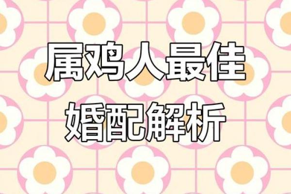 男属鸡的和什么属相最配 男性属鸡的最佳配对是哪个属相