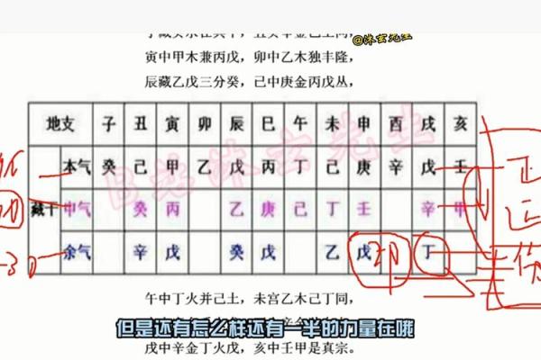 八字天干的根