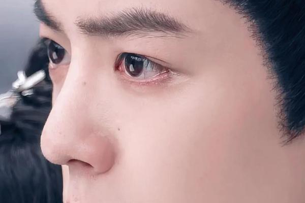明星肖战最适合嫁给12星座的人