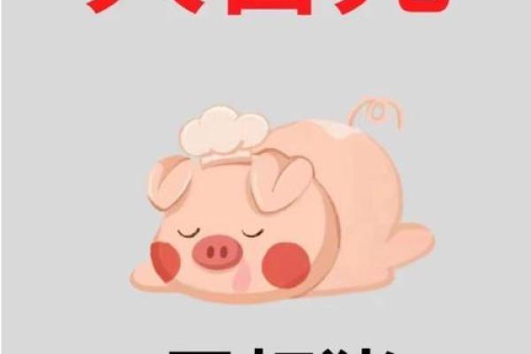 属猪是哪一年出生的 属猪的男孩出生吉日