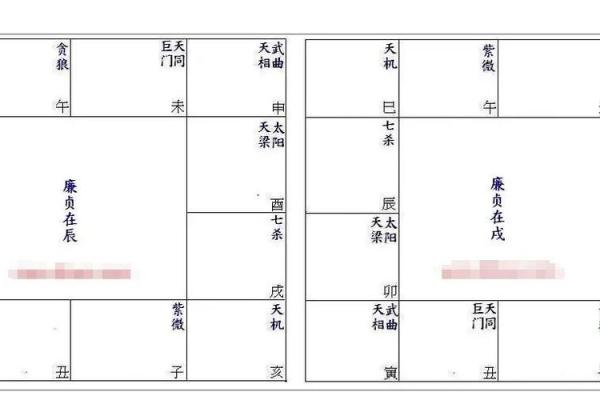 紫薇斗数中的平陷庙是什么意思