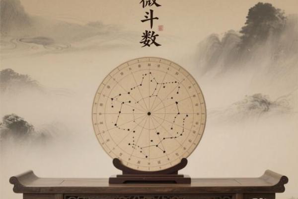 紫薇斗数子年斗君