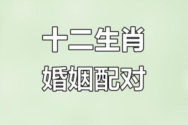 生肖配对姻缘男龙女马 十二生肖男龙女马相配吗？