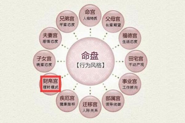 四库全书有紫薇斗数么