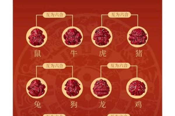 生肖配血型前途最远大TOP3