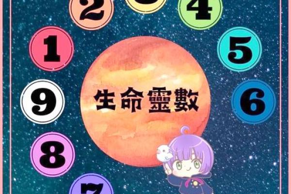 生命灵数8和几配对