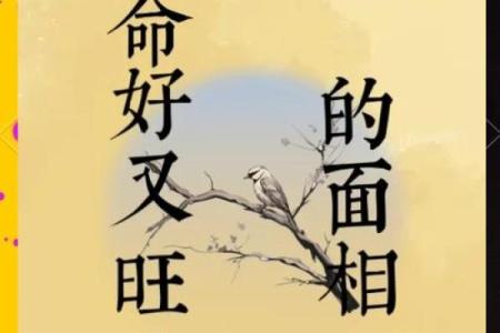 风水财运_人这辈子的财运有多少其实是安排好的