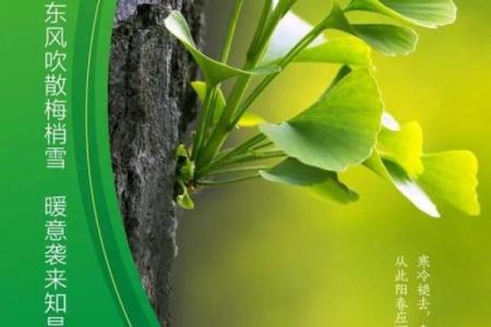 八字算命如何定立春