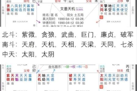精通紫薇斗数