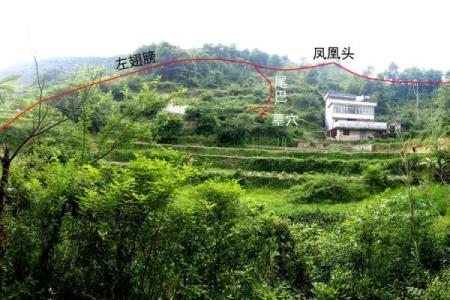 下山凤形风水如何在家中营造良好的风水环境