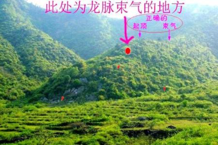 阴宅风水：墓地别出现这些东西