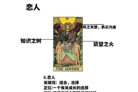 塔罗牌测试十月与另一半的爱情发展