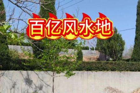 风水大地_风水宝地的意思