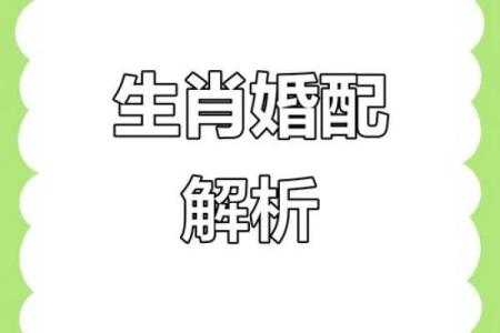 属蛇男婚姻最好的婚配属相 属蛇男与什么属相配对最佳