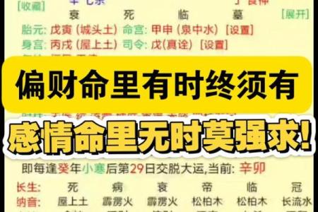 八字中偏财多无偏财用