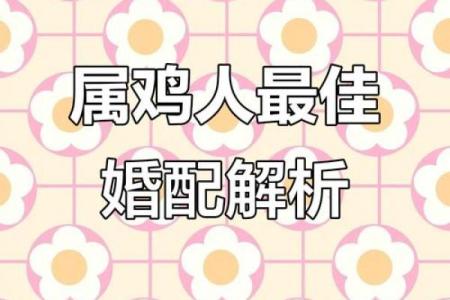 男属鸡的和什么属相最配 男性属鸡的最佳配对是哪个属相