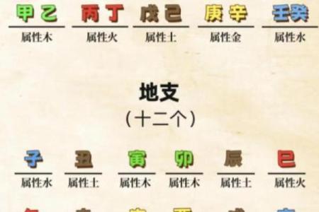 八字大运