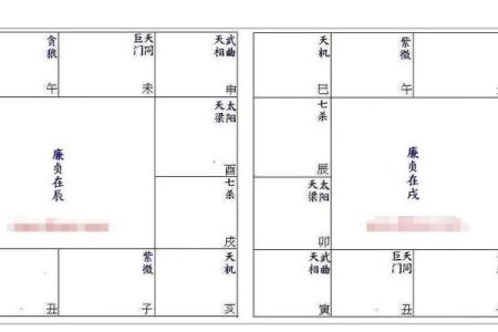 紫薇斗数中的平陷庙是什么意思