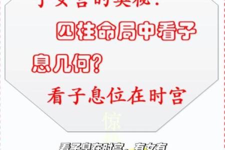八字命理是看子女的吗