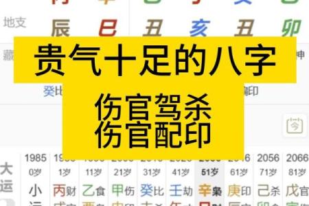 八字伤官配印的命理分析