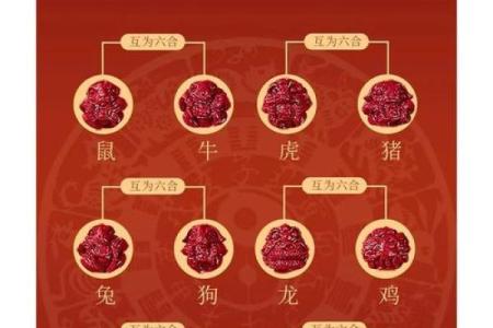 生肖配血型前途最远大TOP3