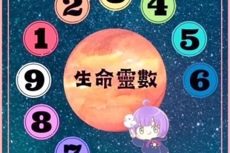 生命灵数8和几配对