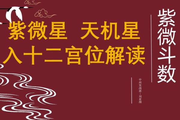 紫薇斗数中天机星化禄，在命格中的造化如何？天机星四化力量