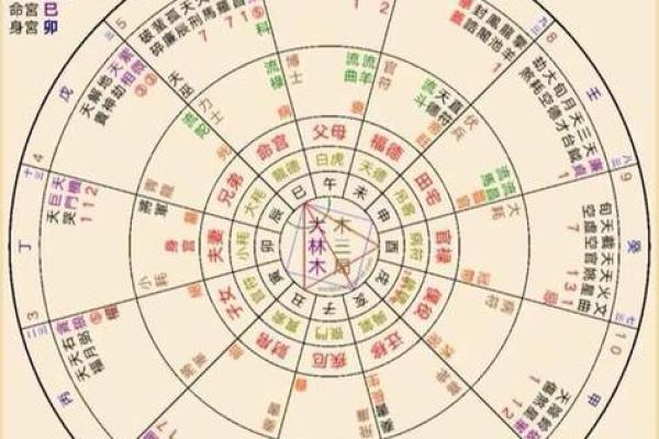 紫薇斗球数排盘