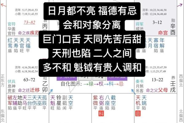 倪海厦紫薇斗数化忌结婚