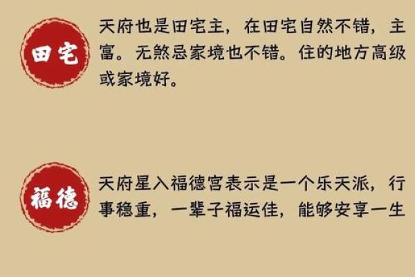 紫微斗数看事业/学业 紫微斗数看事业/学业