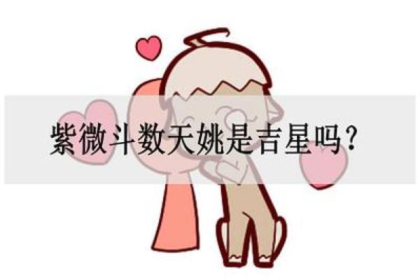 紫薇斗数事业宫有天姚