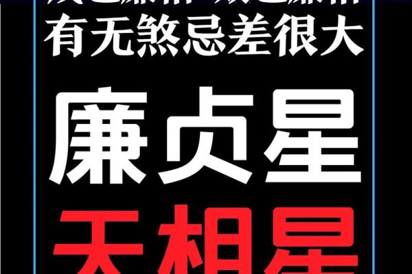 紫薇斗数事业宫有天姚