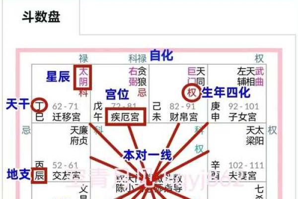 紫薇斗数衰详解