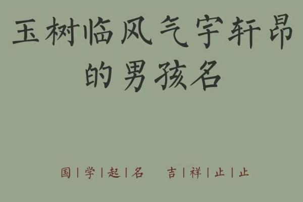 2019年3月17号午时出生的男孩应该起什么样的名字姓名
