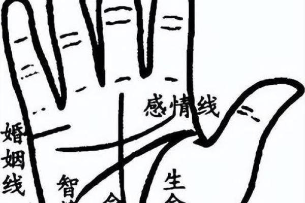 手纹线图解大全男人手相 男人算命看左手还是右手