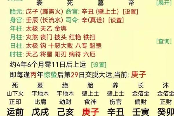 伤官生财的八字命例
