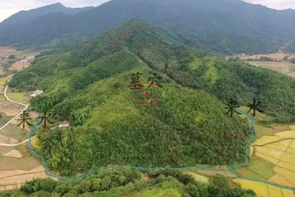 怎样的墓地有好风水